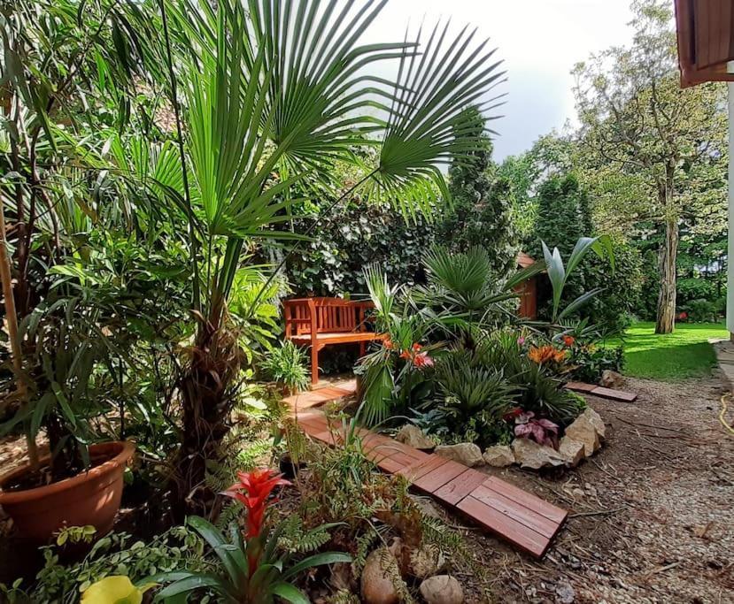 布达佩斯House W Little Tropical Garden公寓 外观 照片