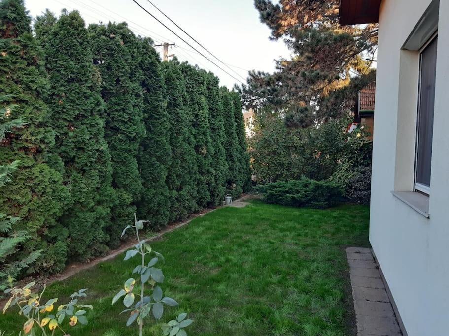 布达佩斯House W Little Tropical Garden公寓 外观 照片