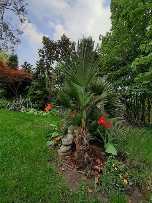 布达佩斯House W Little Tropical Garden公寓 外观 照片