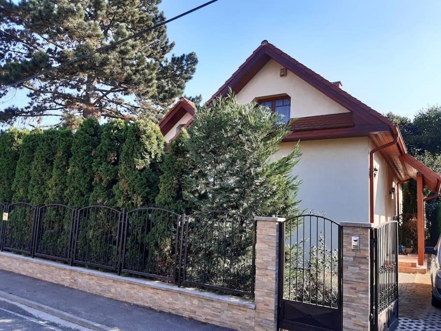 布达佩斯House W Little Tropical Garden公寓 外观 照片