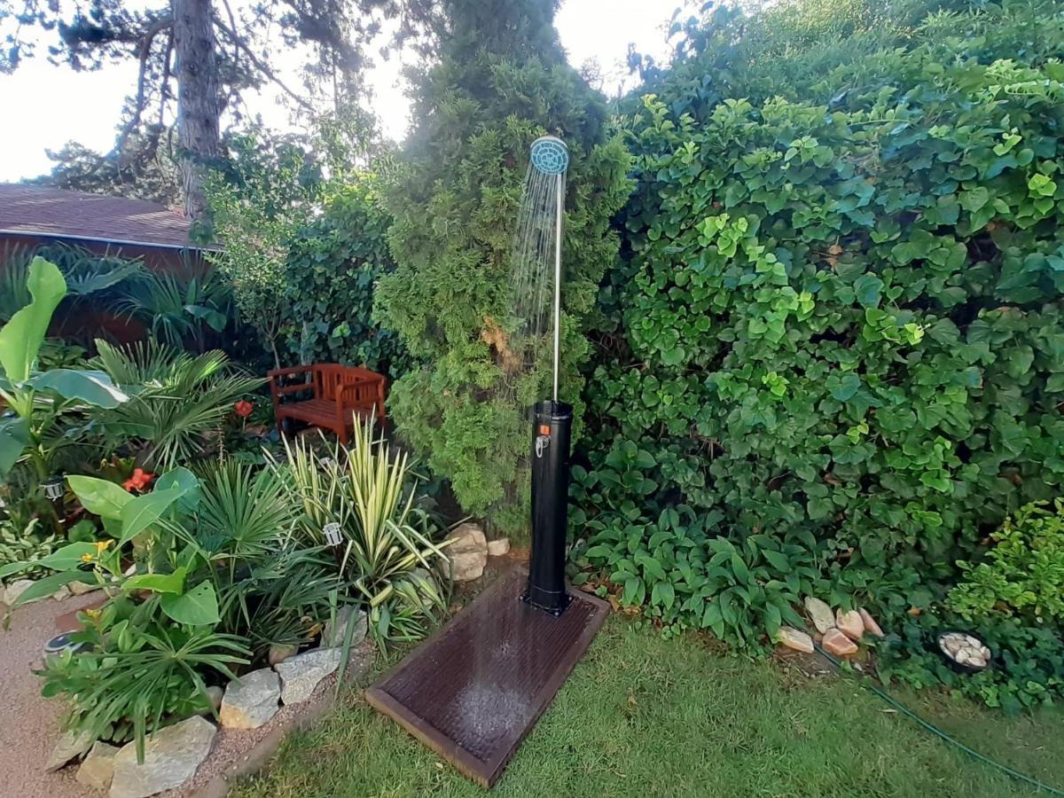 布达佩斯House W Little Tropical Garden公寓 外观 照片