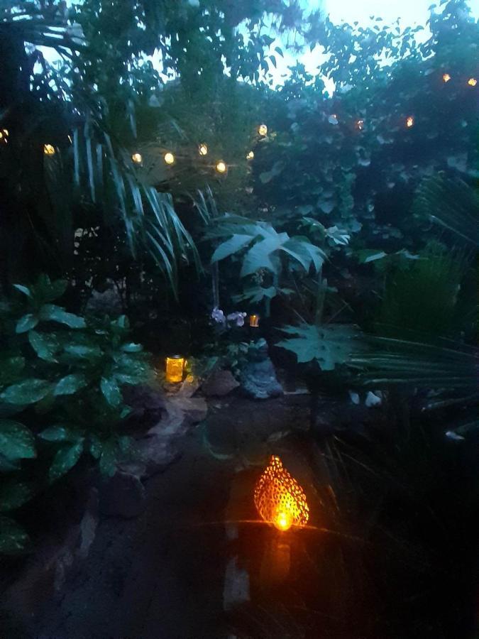 布达佩斯House W Little Tropical Garden公寓 外观 照片