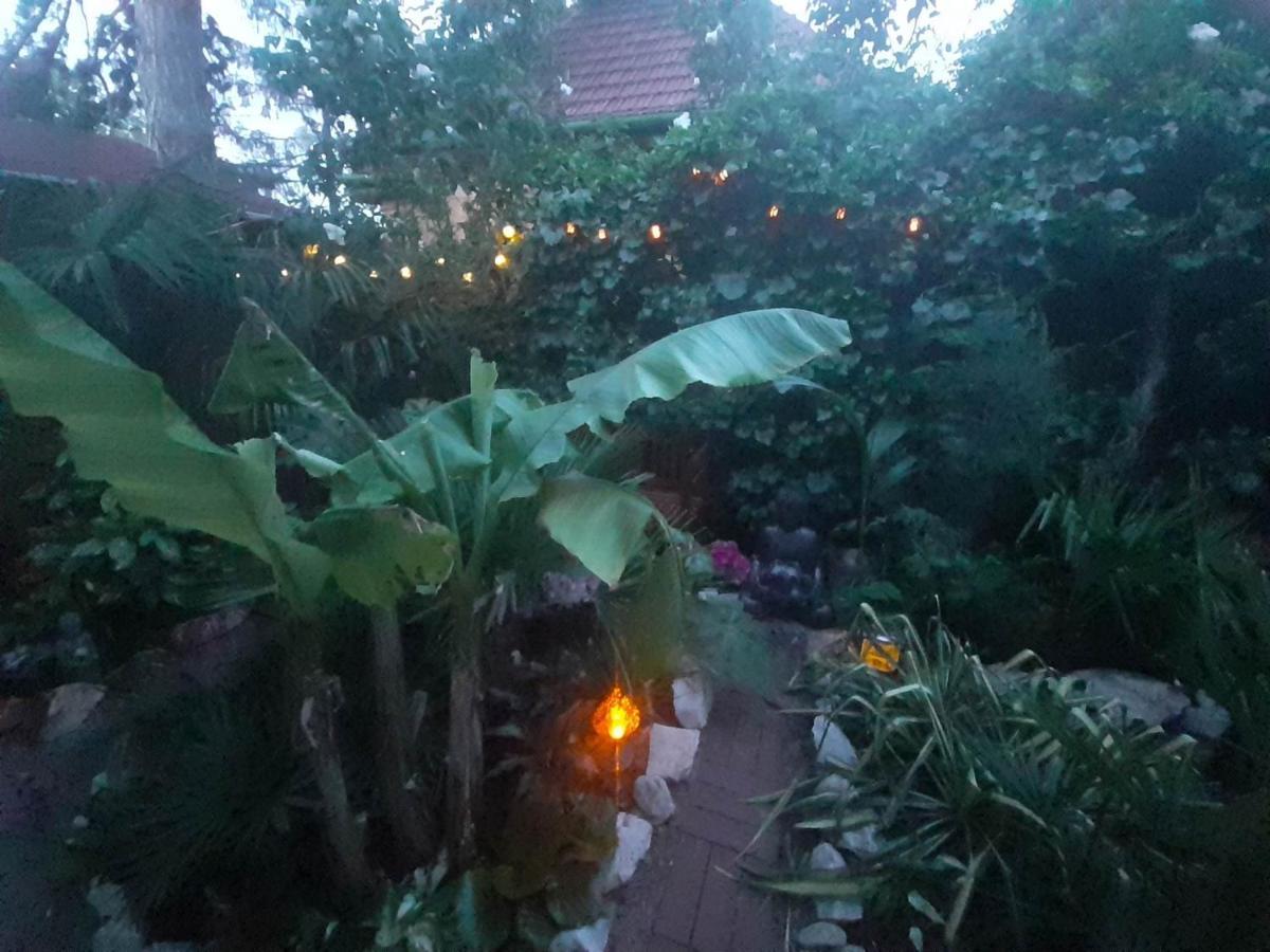 布达佩斯House W Little Tropical Garden公寓 外观 照片