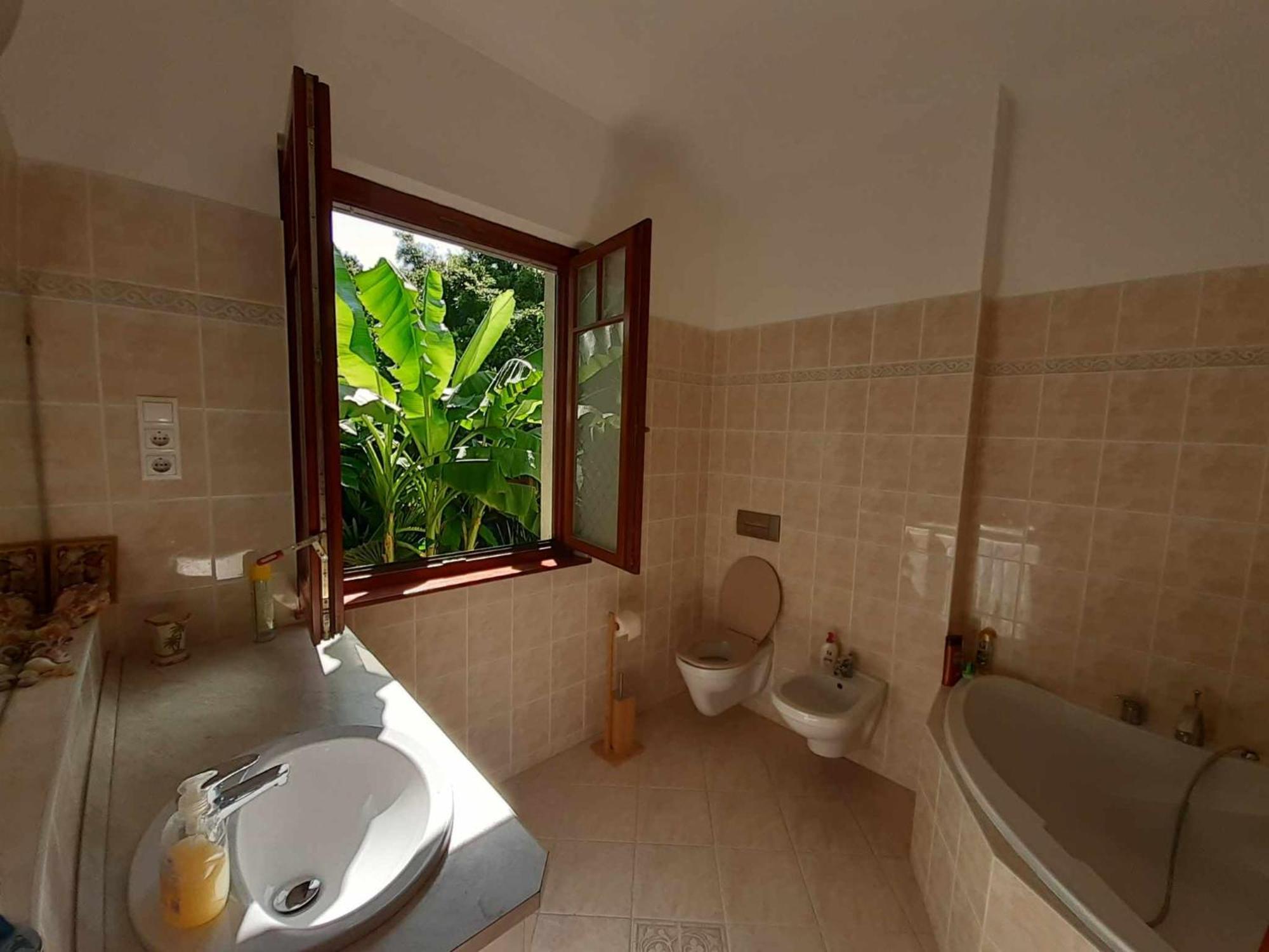 布达佩斯House W Little Tropical Garden公寓 外观 照片