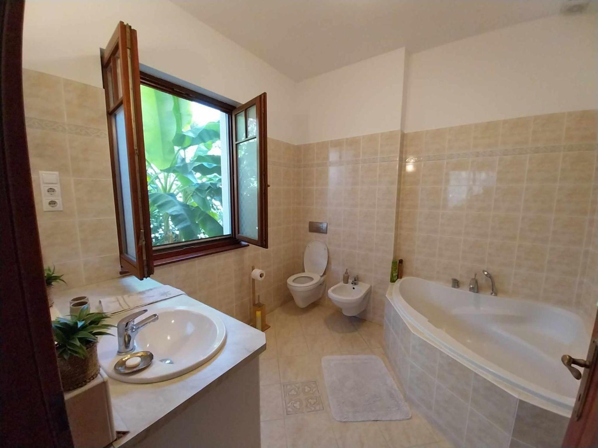 布达佩斯House W Little Tropical Garden公寓 外观 照片