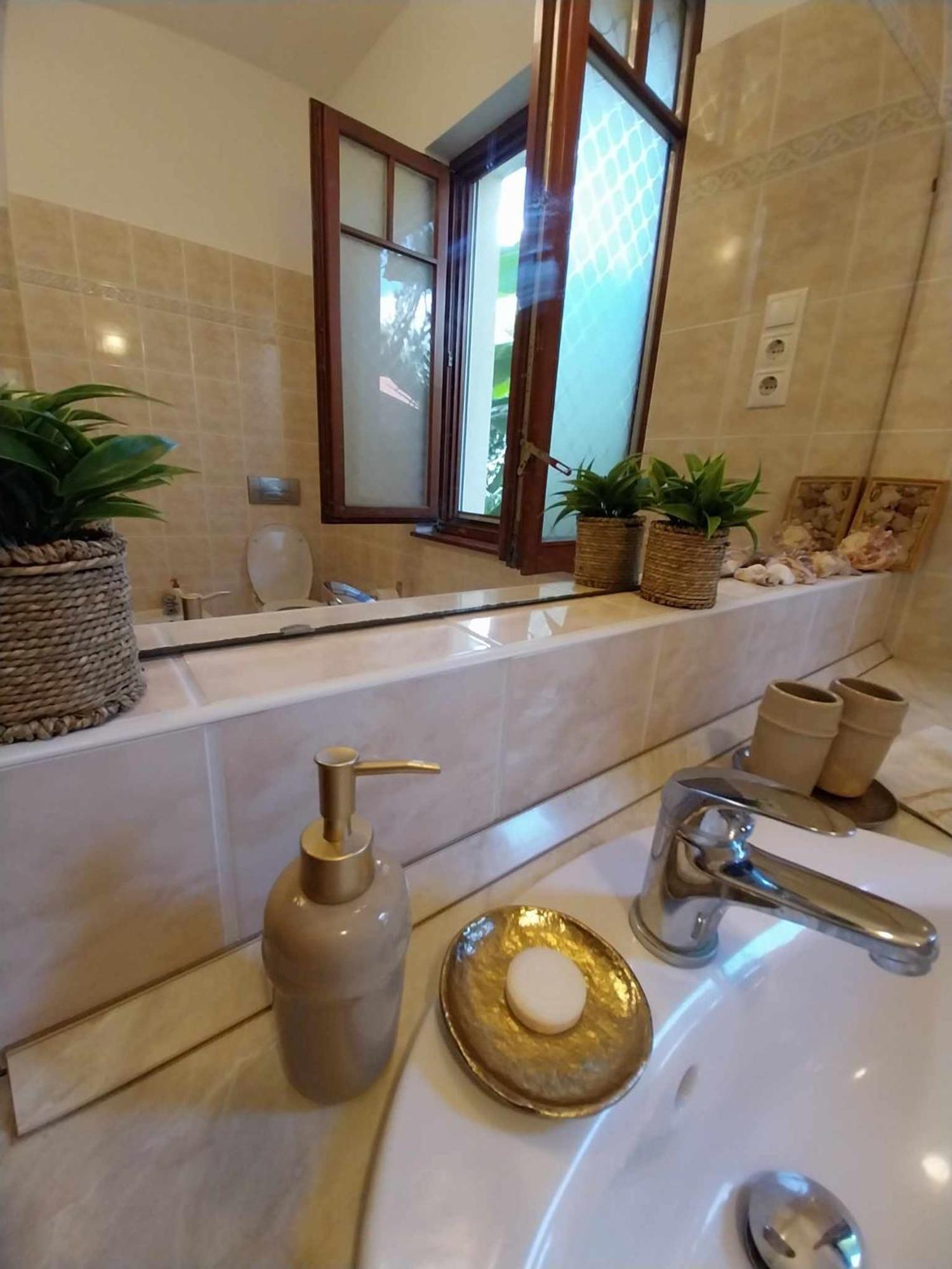布达佩斯House W Little Tropical Garden公寓 外观 照片