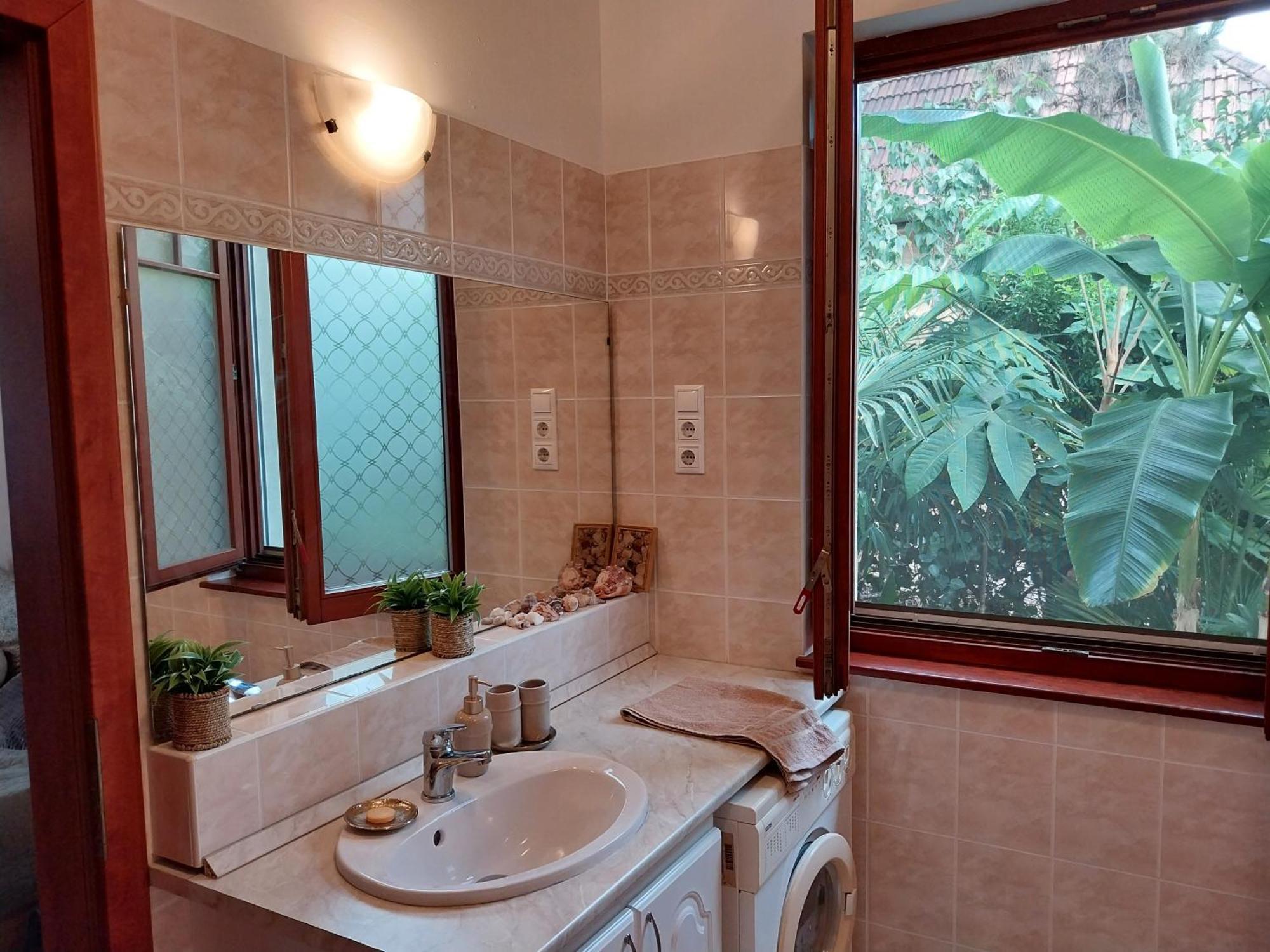 布达佩斯House W Little Tropical Garden公寓 外观 照片