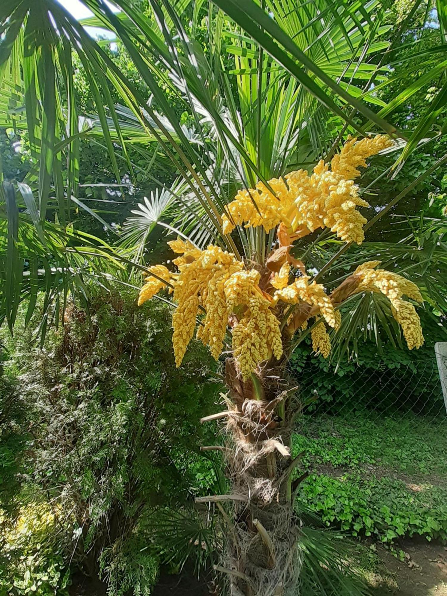 布达佩斯House W Little Tropical Garden公寓 外观 照片